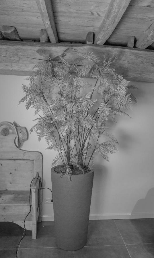 Bed En Box 3610 Bed & Breakfast Oirschot Eksteriør bilde