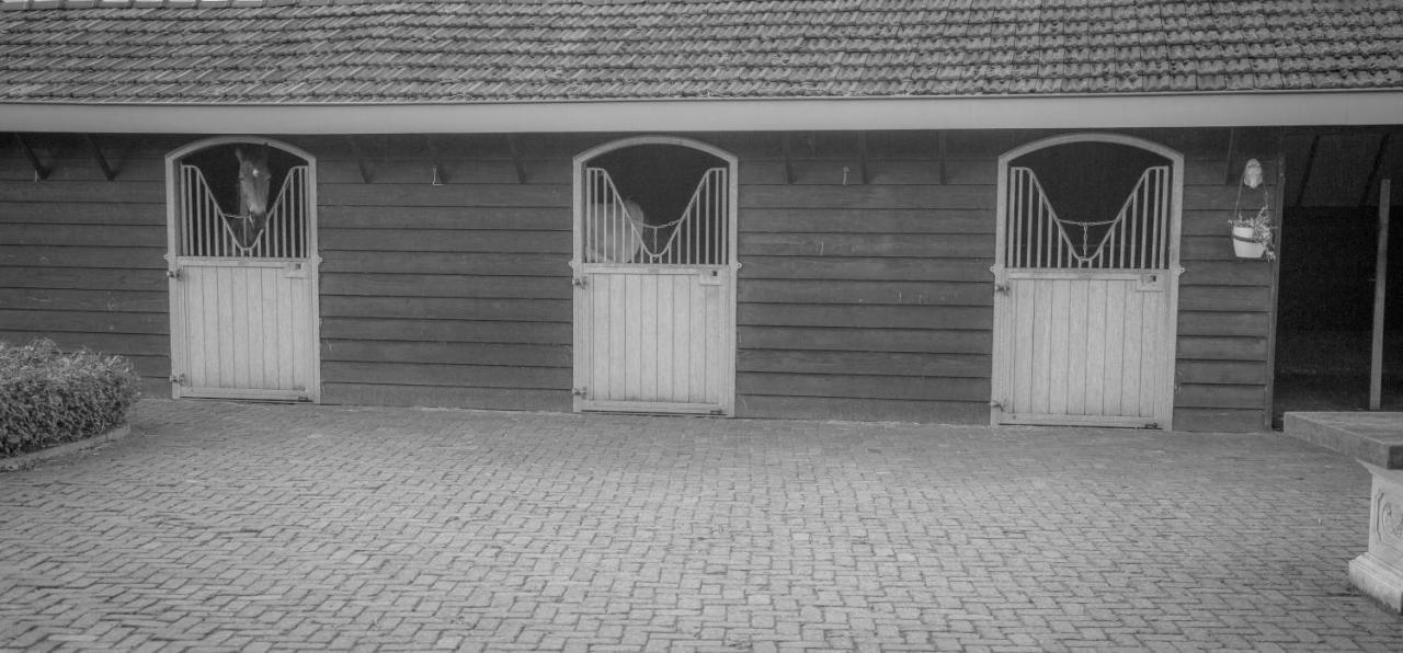 Bed En Box 3610 Bed & Breakfast Oirschot Eksteriør bilde